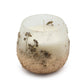 Small Glass Jar Candles - Wildlight Woods - Luna Panther