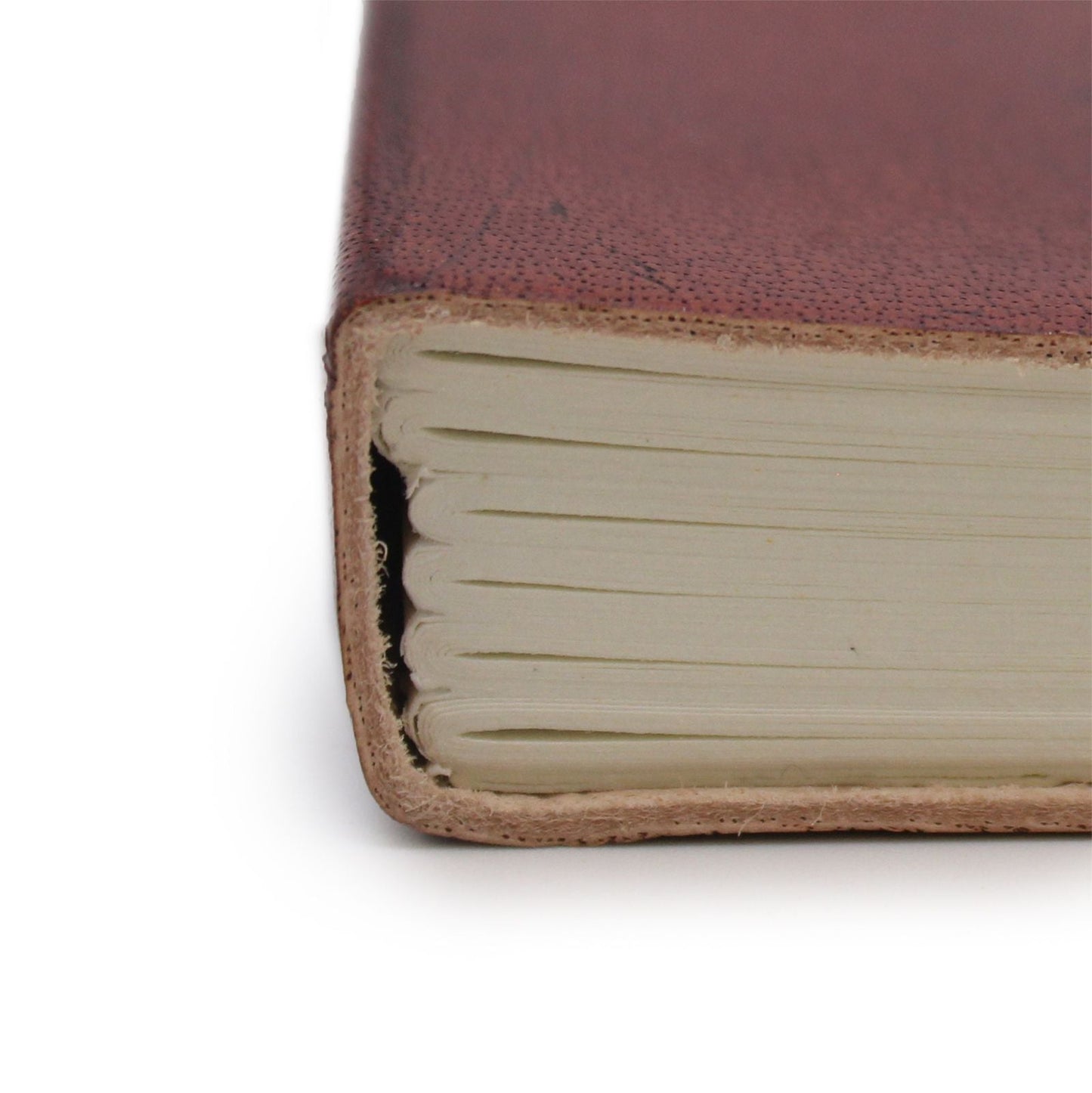 Small Notebook with strap - Tree of Life - Luna Panther