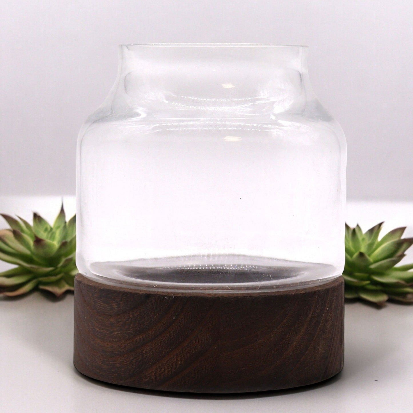 Small Shaped Terrarium on Dark Tung Wood - Luna Panther