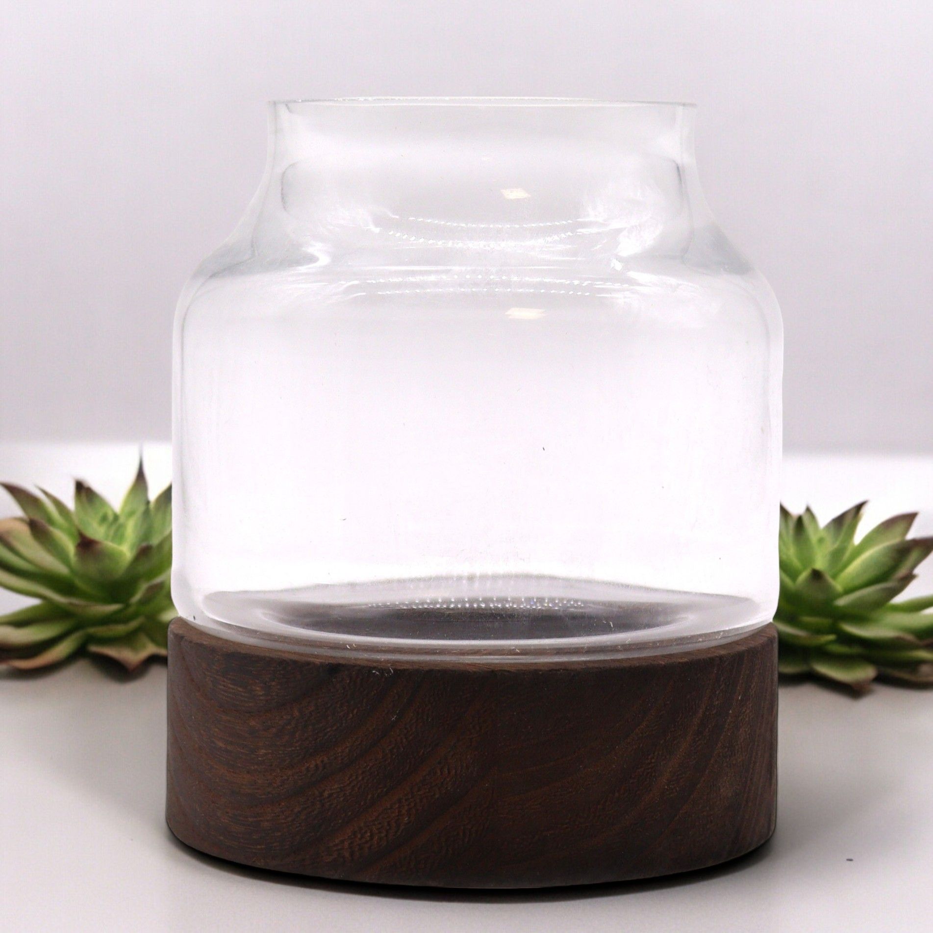 Small Shaped Terrarium on Dark Tung Wood - Luna Panther