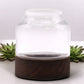 Small Shaped Terrarium on Dark Tung Wood - Luna Panther