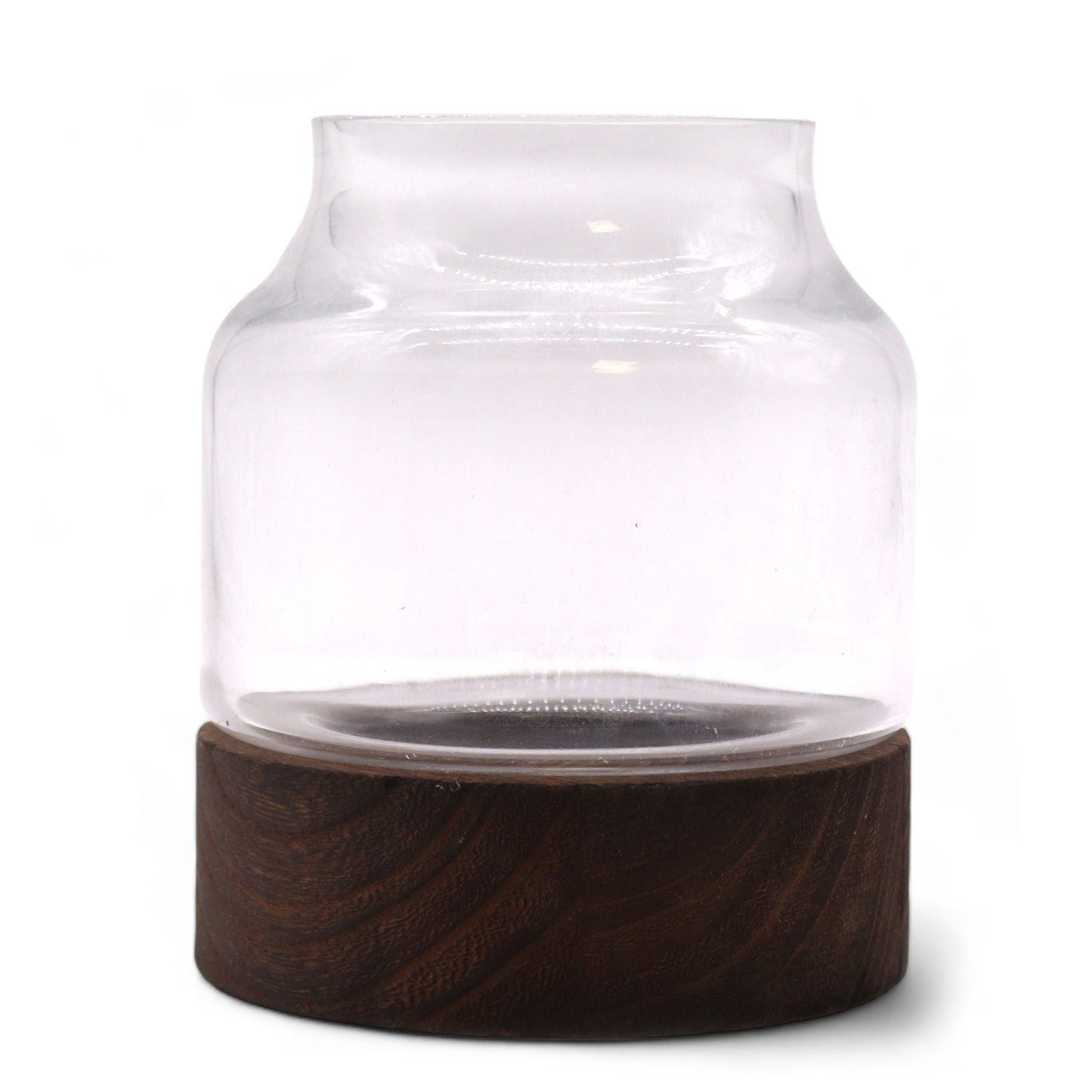 Small Shaped Terrarium on Dark Tung Wood - Luna Panther