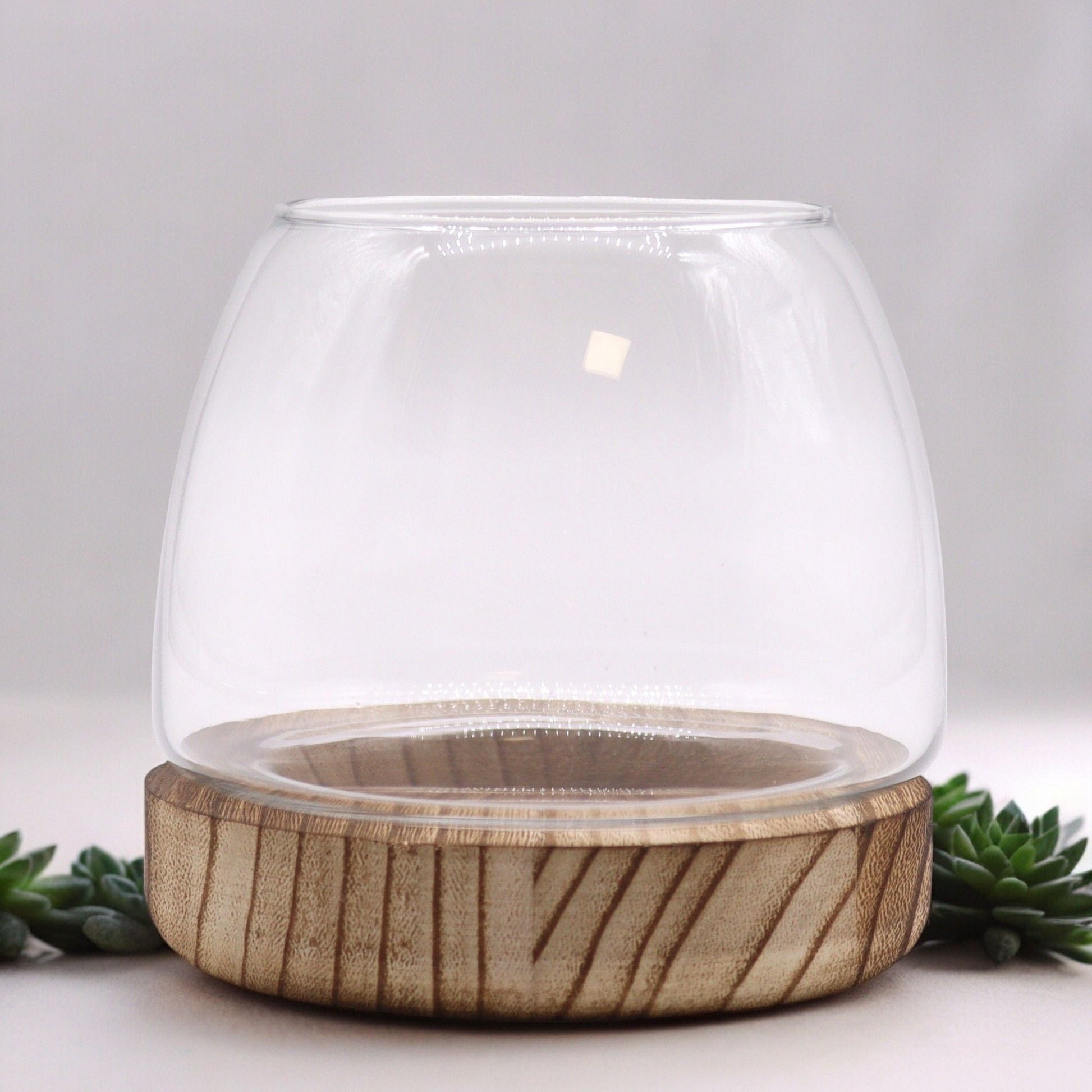 Small Terrarium on Natural Tung Wood - Luna Panther