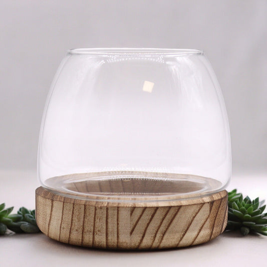 Small Terrarium on Natural Tung Wood - Luna Panther