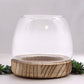 Small Terrarium on Natural Tung Wood - Luna Panther
