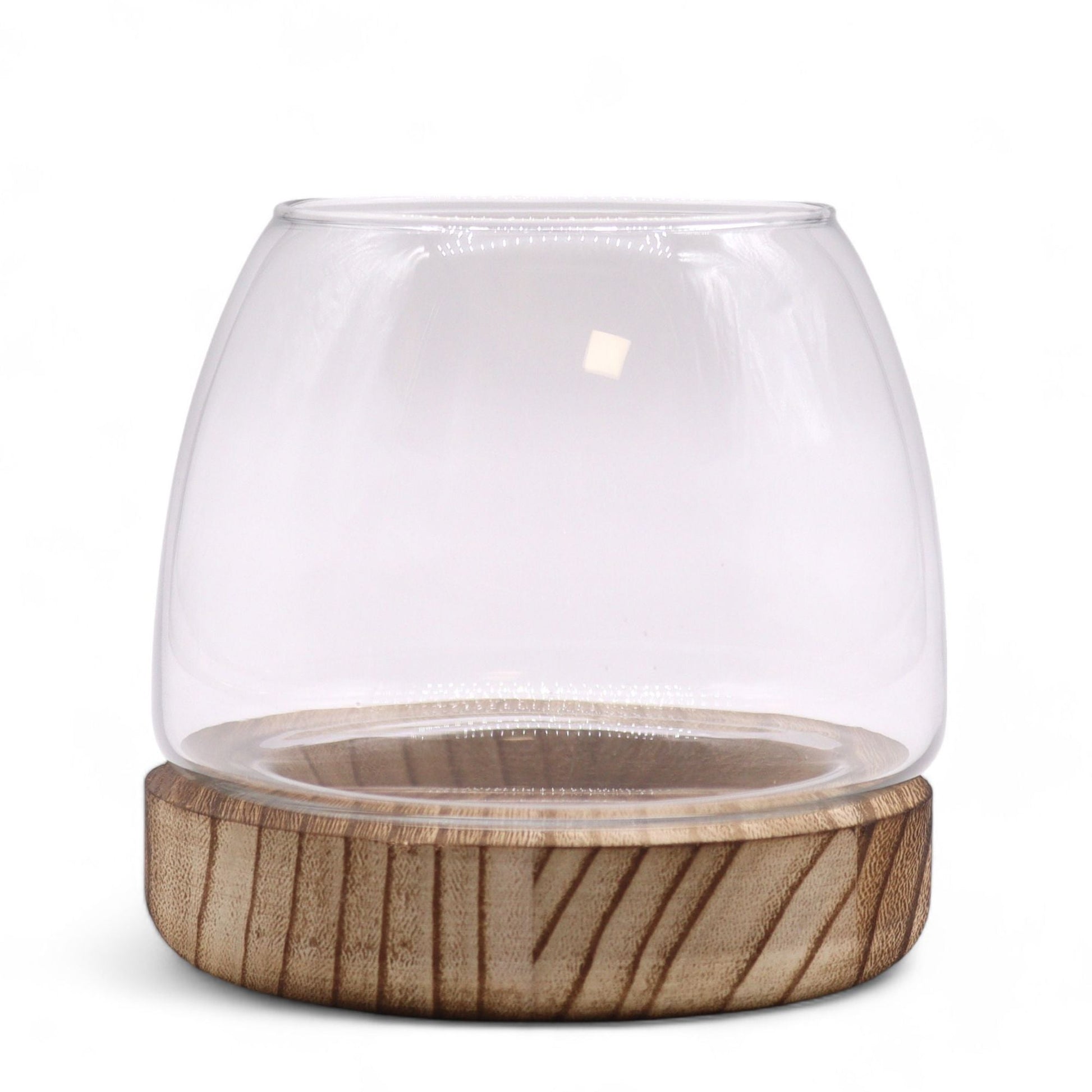 Small Terrarium on Natural Tung Wood - Luna Panther