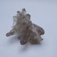 Smoky Quartz Cluster 17g - Luna Panther