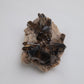 Smoky Quartz Cluster on Matrix 130g crystal detail
