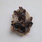Smoky Quartz Cluster on Matrix 130g reverse side view
