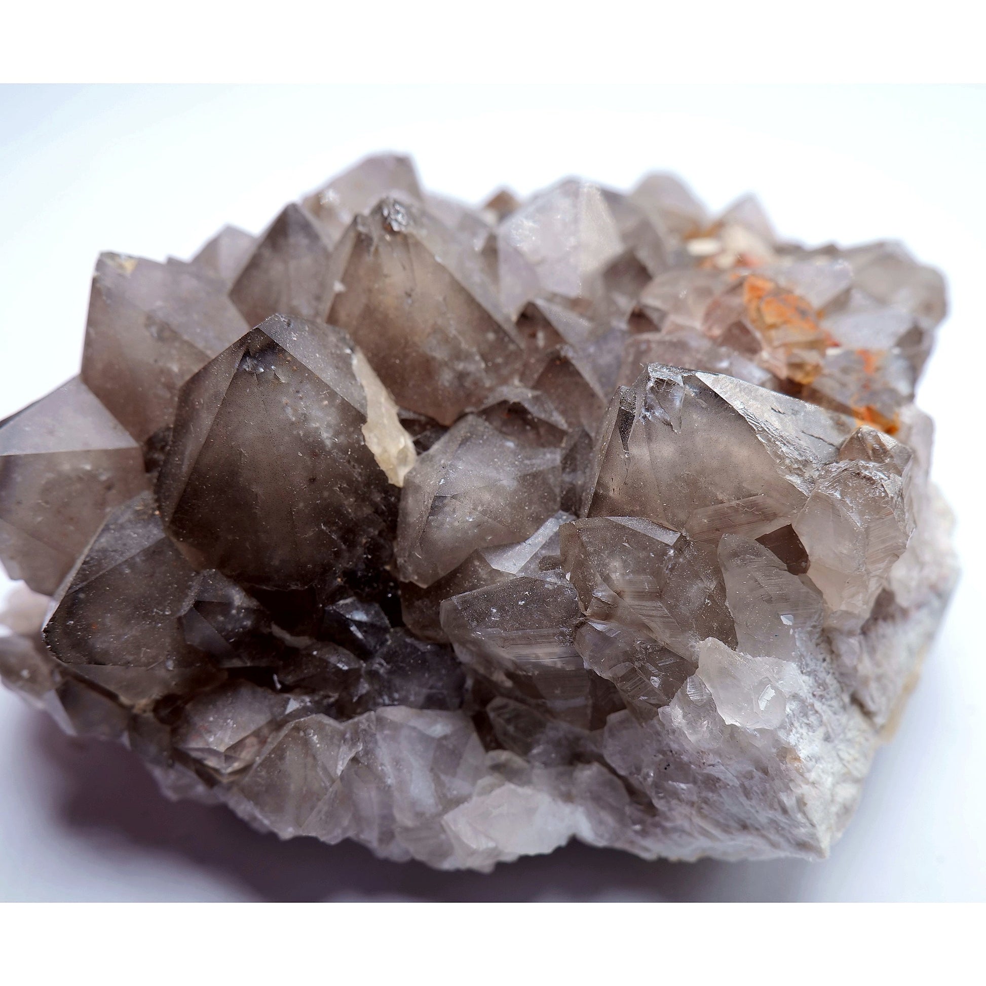 Smoky Quartz Crystal Cluster - 446g - Luna Panther