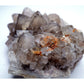 Smoky Quartz Crystal Cluster - 446g - Luna Panther