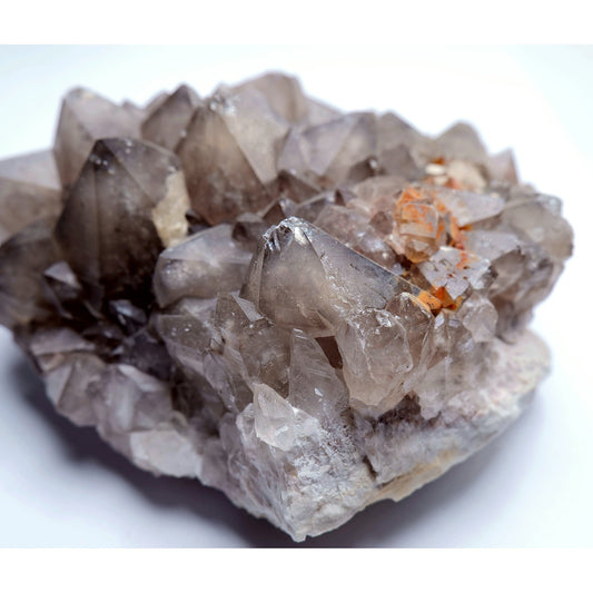 Smoky Quartz Crystal Cluster - 446g - Luna Panther