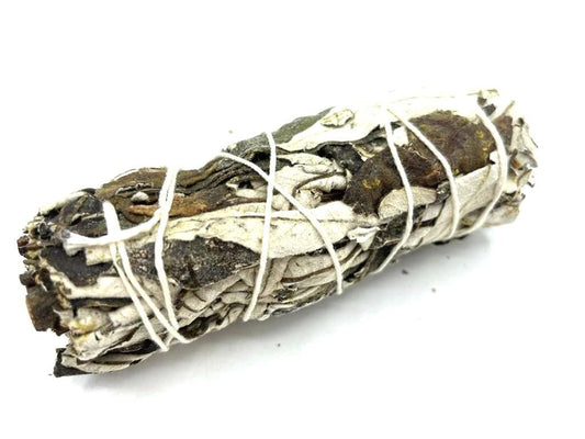 Polished Smudge Stick - Yerba Santa Sage 10cm featuring natural patterning and unique variations - Luna Panther