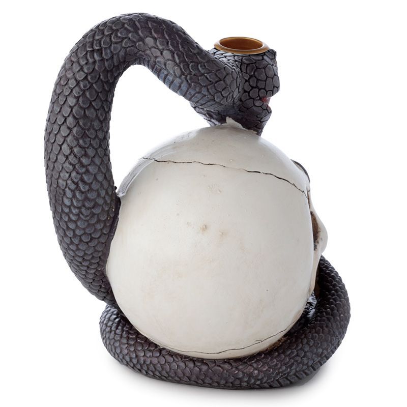 Polished Snake And Skull Backflow Incense Burner 3 featuring natural patterning and unique variations - Luna Panther