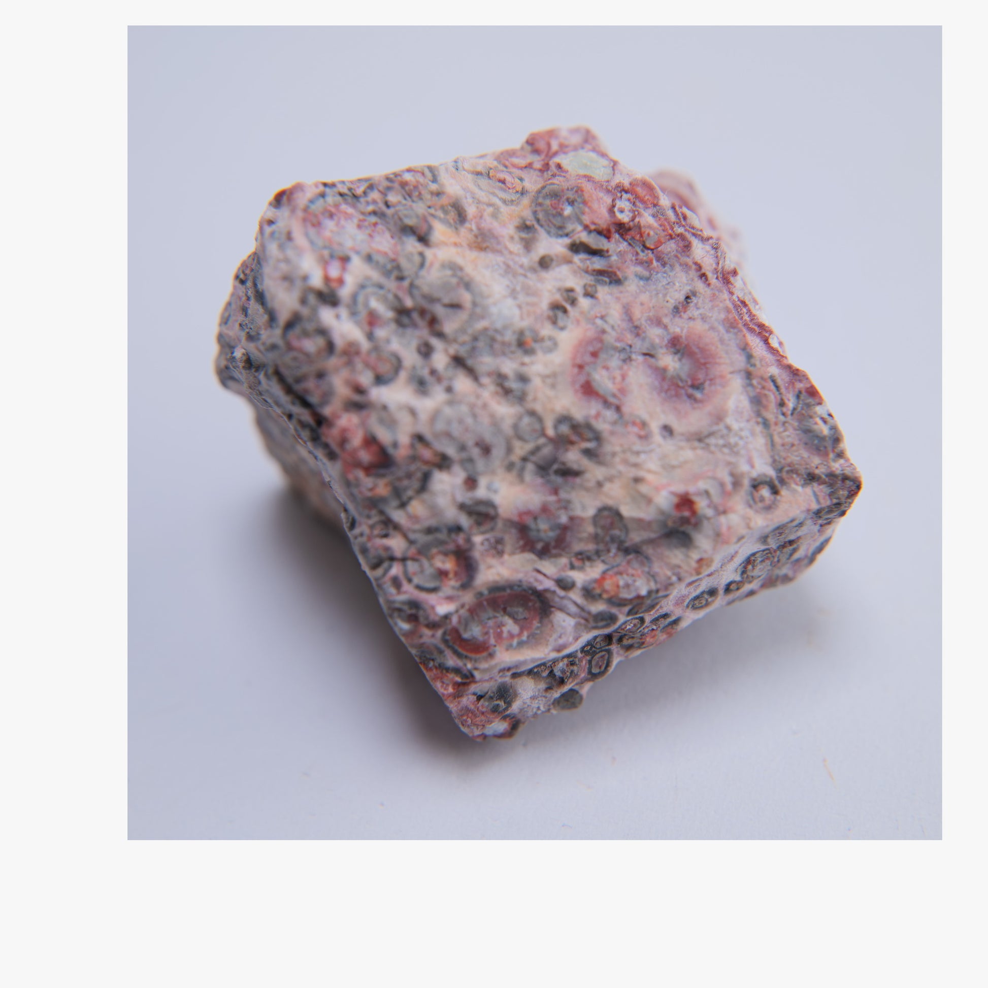 Snakeskin Agate from India - 36.5g