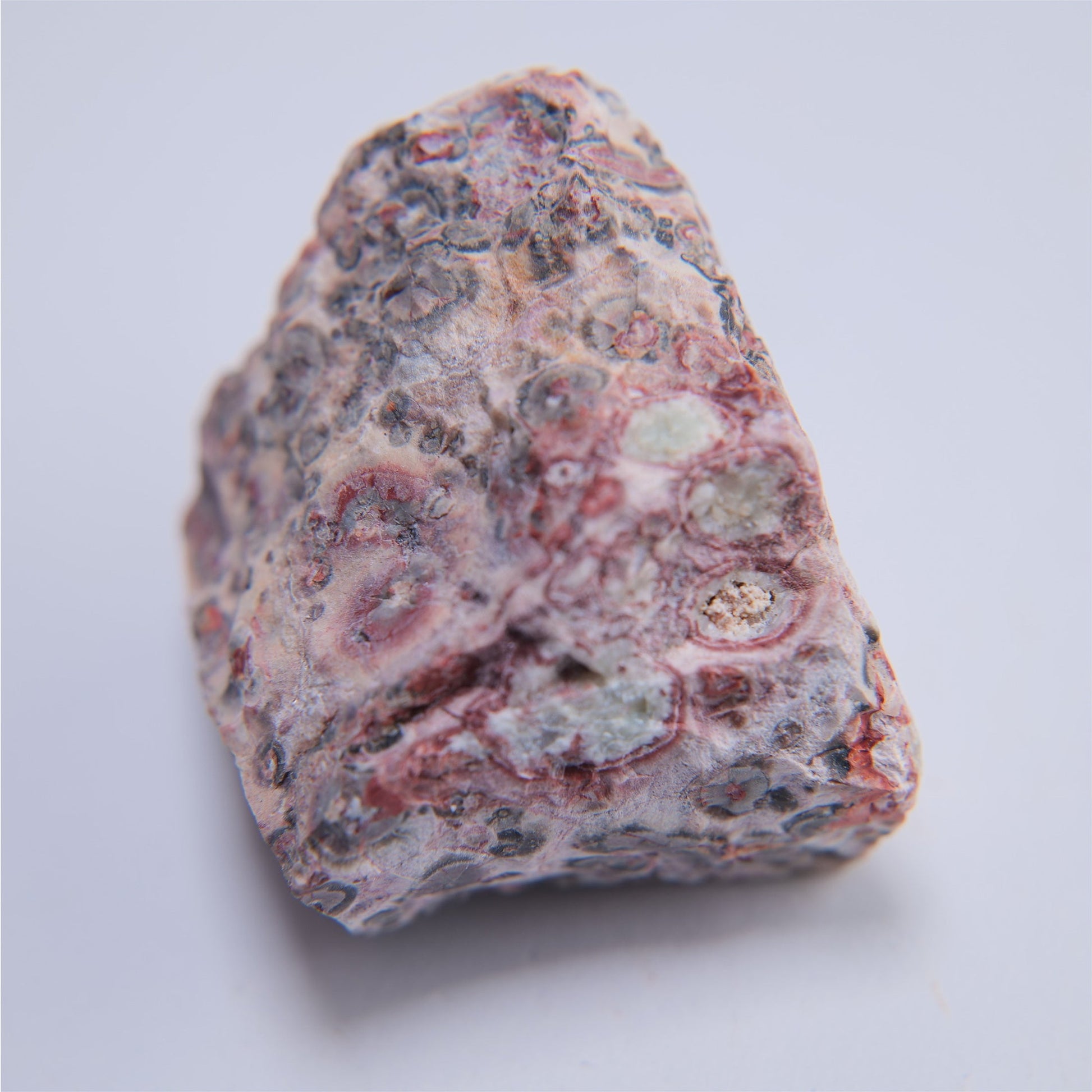Snakeskin Agate from India - 36.5g - Luna Panther