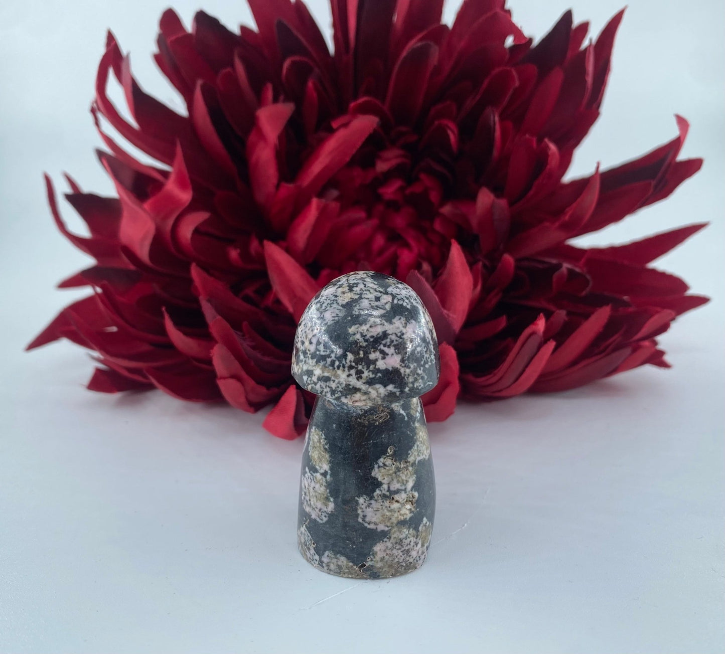 Polished Snowflake Obsidian Mushroom featuring black base with grey snowflake patterns - Luna Panther
