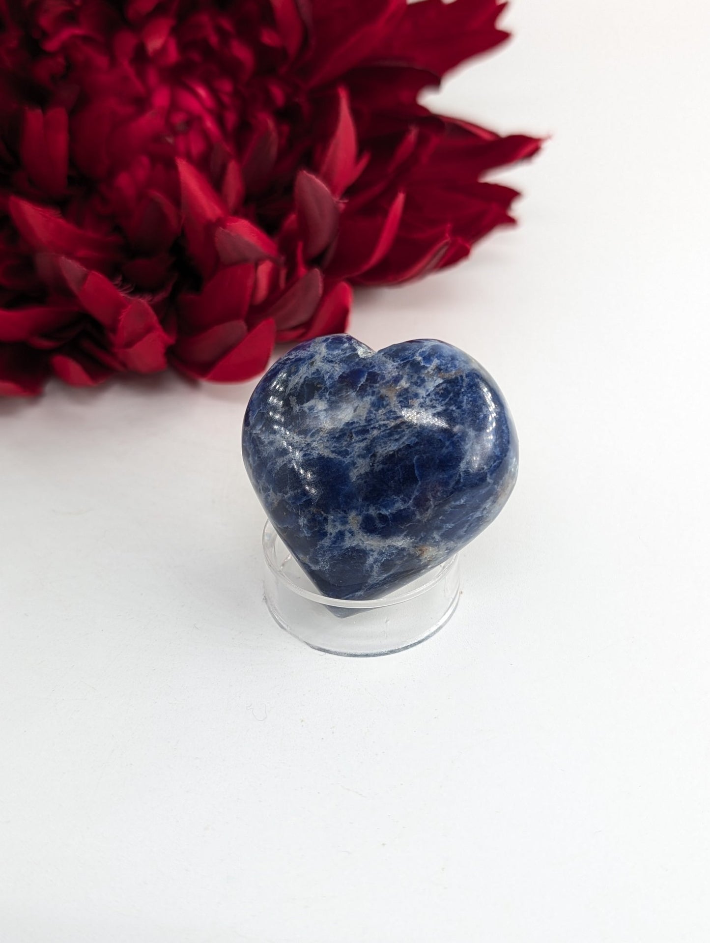 Polished Sodalite Heart Palm Stone 50mm featuring navy-blue tone with white veining - Luna Panther