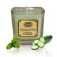 Soybean Jar Candles - Cucumber & Mint - Luna Panther
