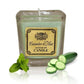 Soybean Jar Candles - Cucumber & Mint - Luna Panther