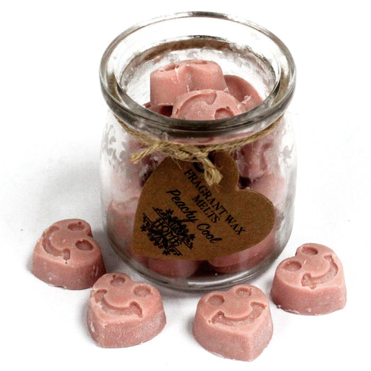 Soywax Melts Jar - Peachy Cool - Luna Panther