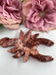 Natural Strawberry Calcite Scorpion featuring soft translucent tone and gentle sheen - Luna Panther