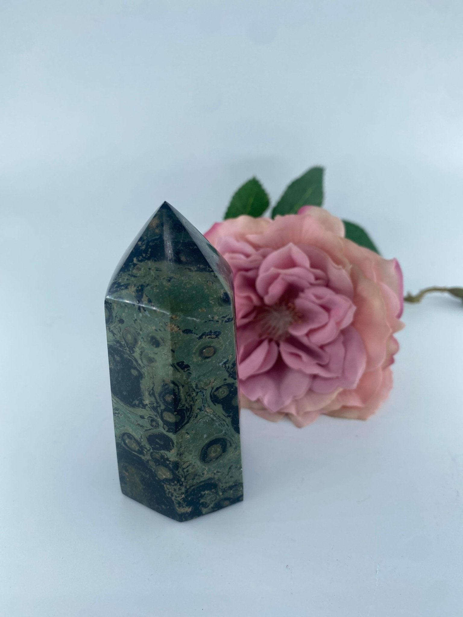 Polished Stromatolite ''Kambamba'' Jasper Tower 237grams featuring earthy patterns and matte-gloss finish - Luna Panther