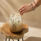 Tall Glass Jar Candles - Wildlight Woods - Luna Panther
