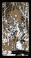 Tarot of the Sorceress - Luna Panther