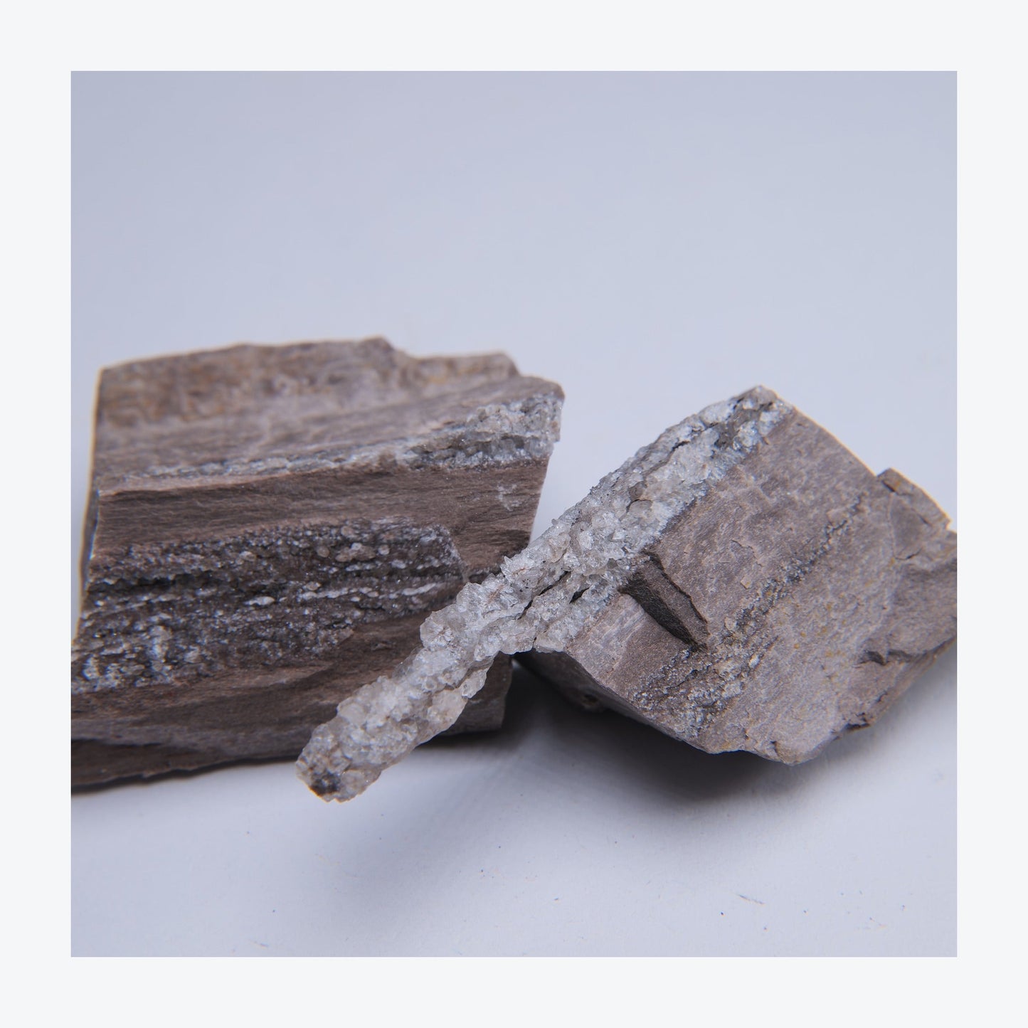 Topaz & Petrified Wood from Grand Canyon, Arizona - 2 Piece Lot — minerals, image 1 of 4.