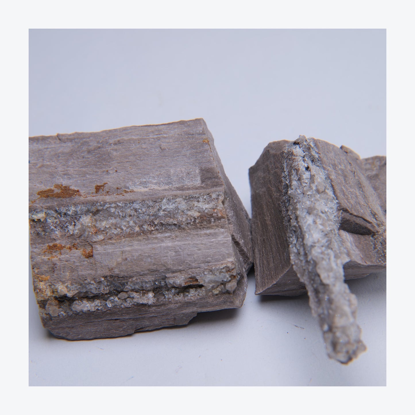Topaz and petrified wood two-piece lot from Grand Canyon, Arizona