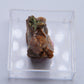 Torbernite from Wheal Edward, Botallack, UK - 7.1g
