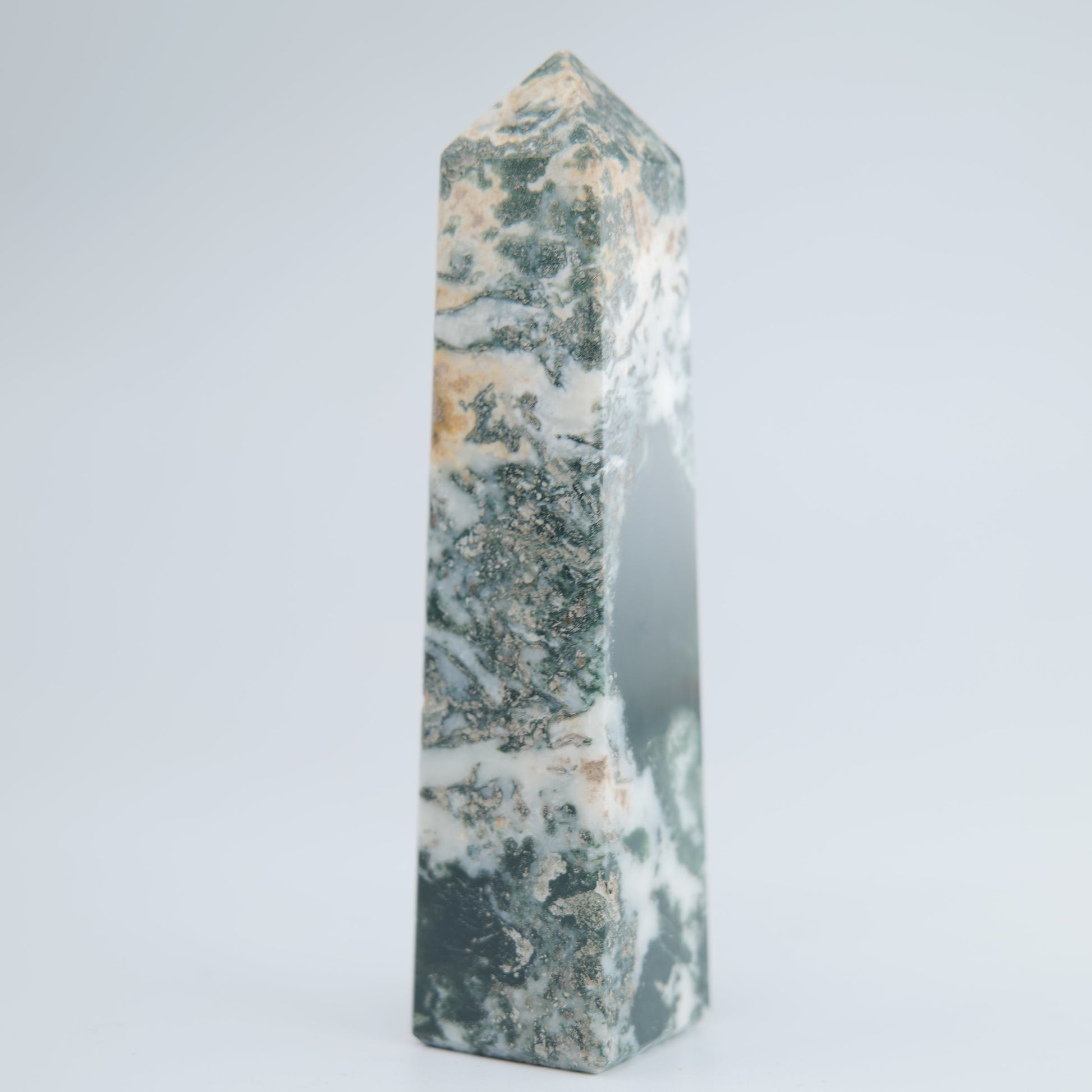 Tree Agate Tower 93g - Luna Panther