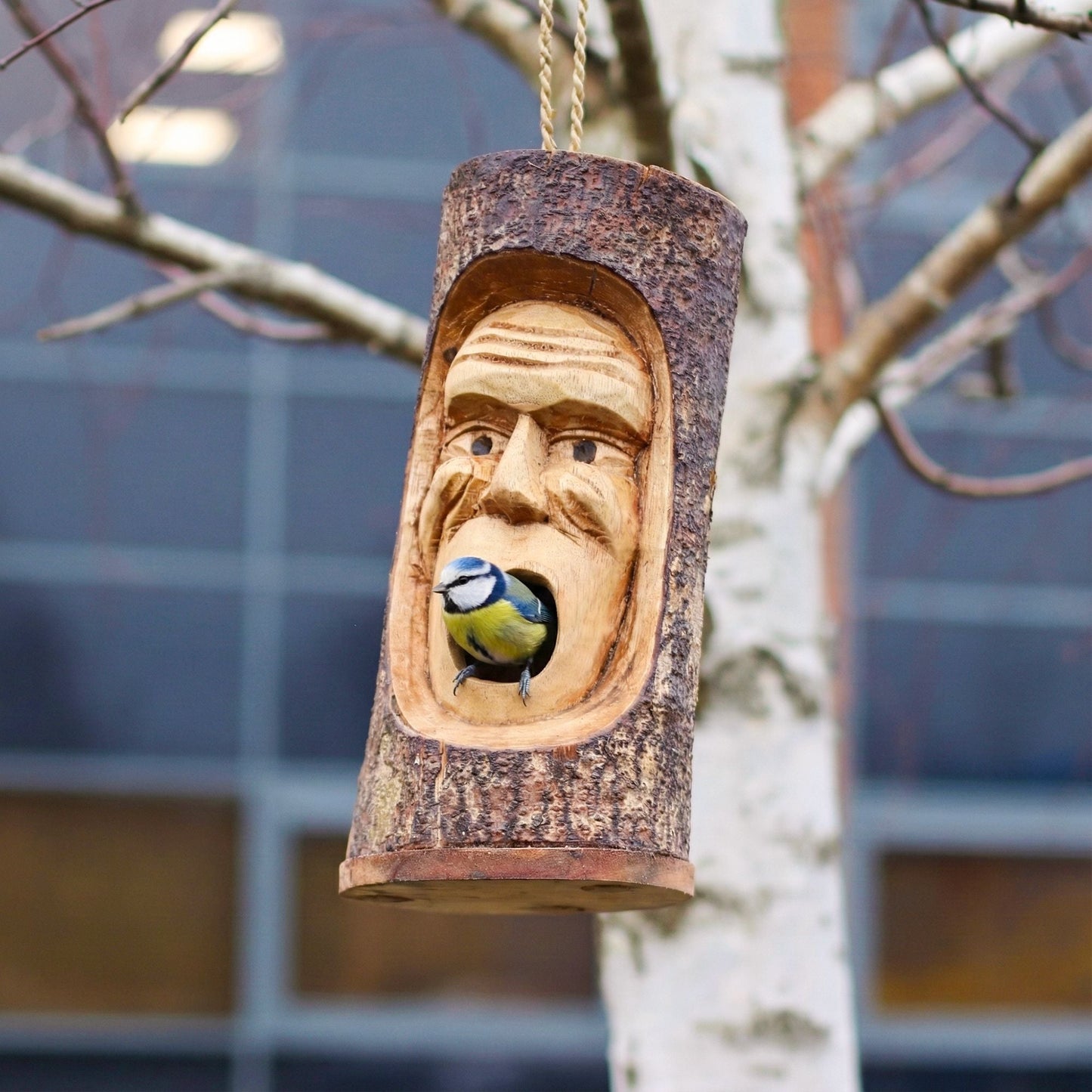 Tree Trunk Face - Bird House - Grumpy Old Man - Luna Panther