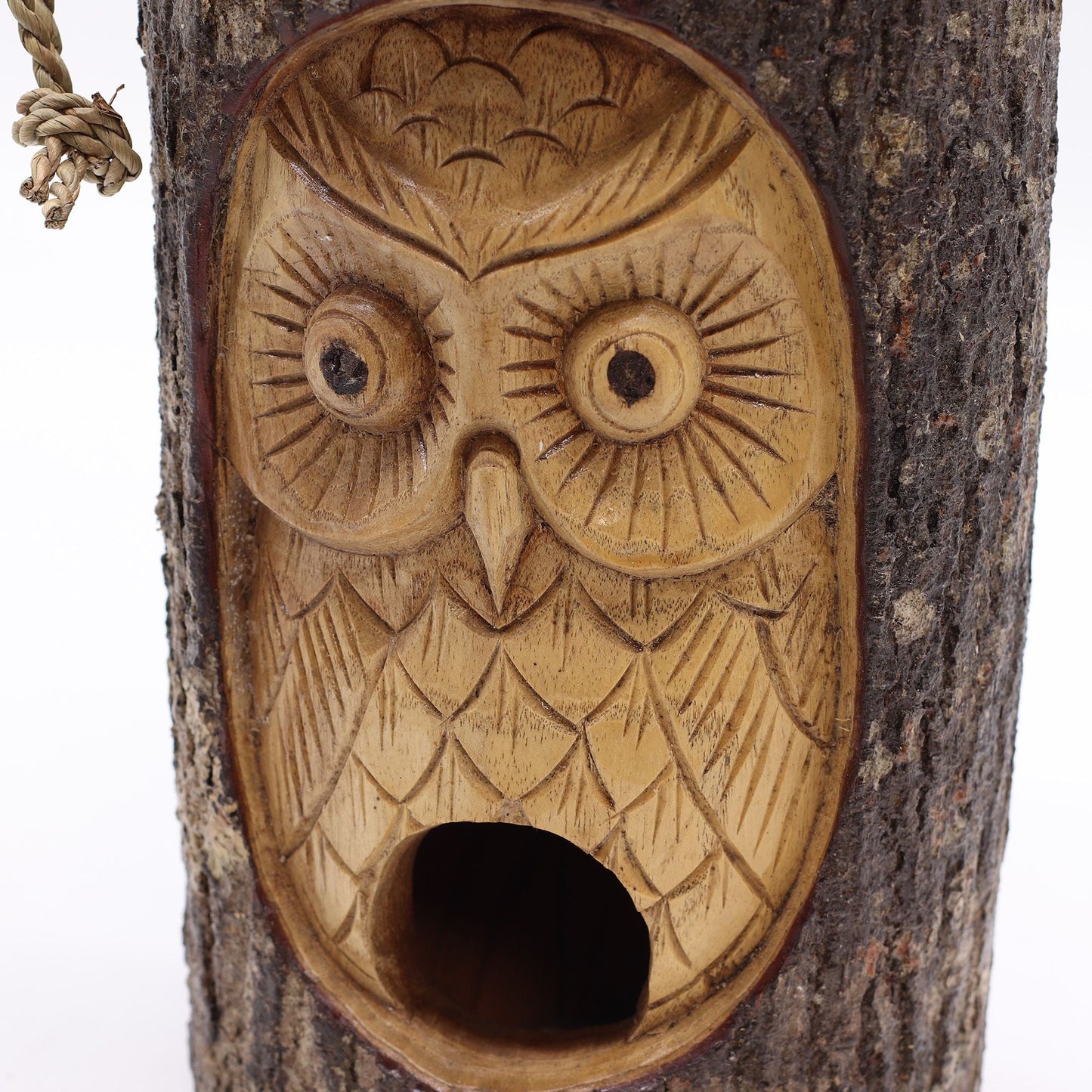 Tree Trunk Face - Bird House - Wise Owl - Luna Panther