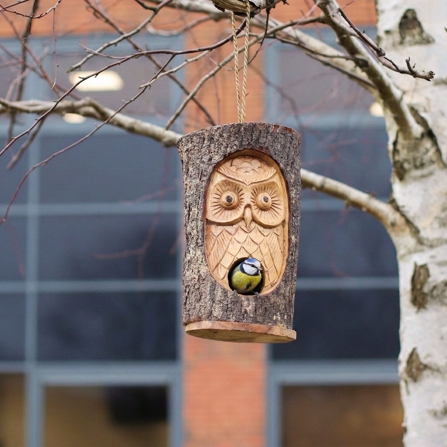 Tree Trunk Face - Bird House - Wise Owl - Luna Panther
