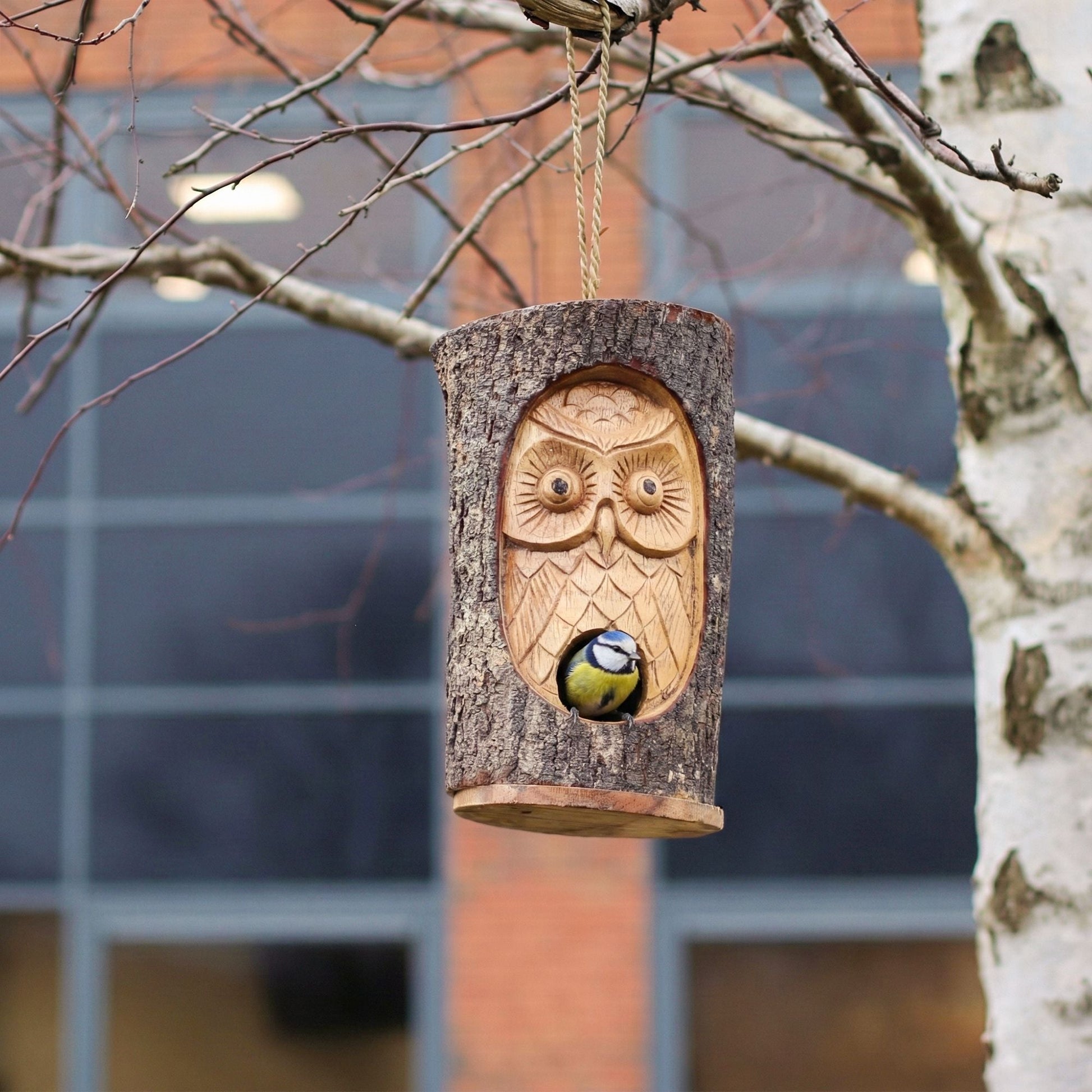 Tree Trunk Face - Bird House - Wise Owl - Luna Panther