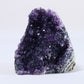Uruguayan Amethyst Cut Base - Luna Panther