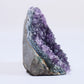 Uruguayan Amethyst Cut Base - Luna Panther