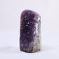 Uruguayan Polished Amethyst Geode - Luna Panther