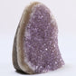 Uruguayan Polished Amethyst Geode - Luna Panther