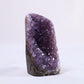 Uruguayan Polished Amethyst Geode - Luna Panther