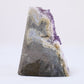 Uruguayan Polished Amethyst Geode - Luna Panther