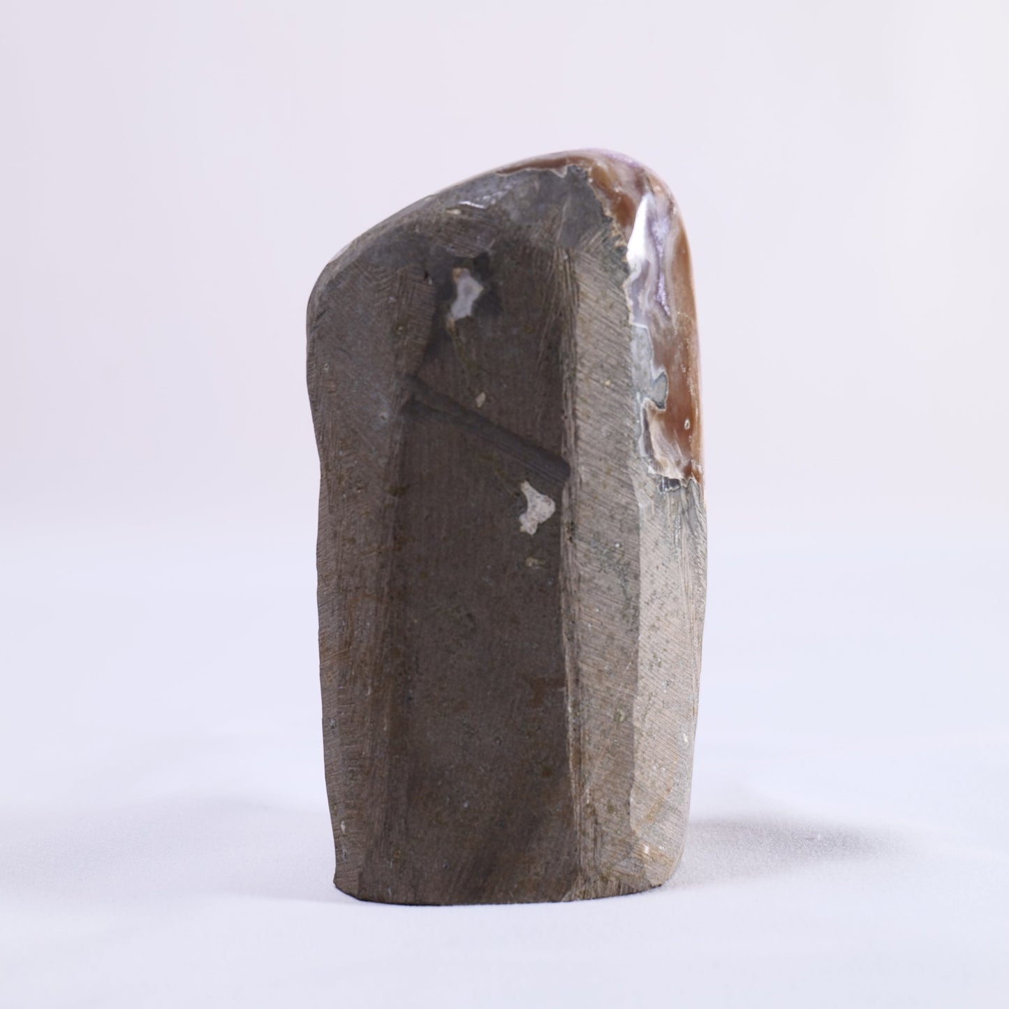Uruguayan Polished Amethyst Geode - Luna Panther