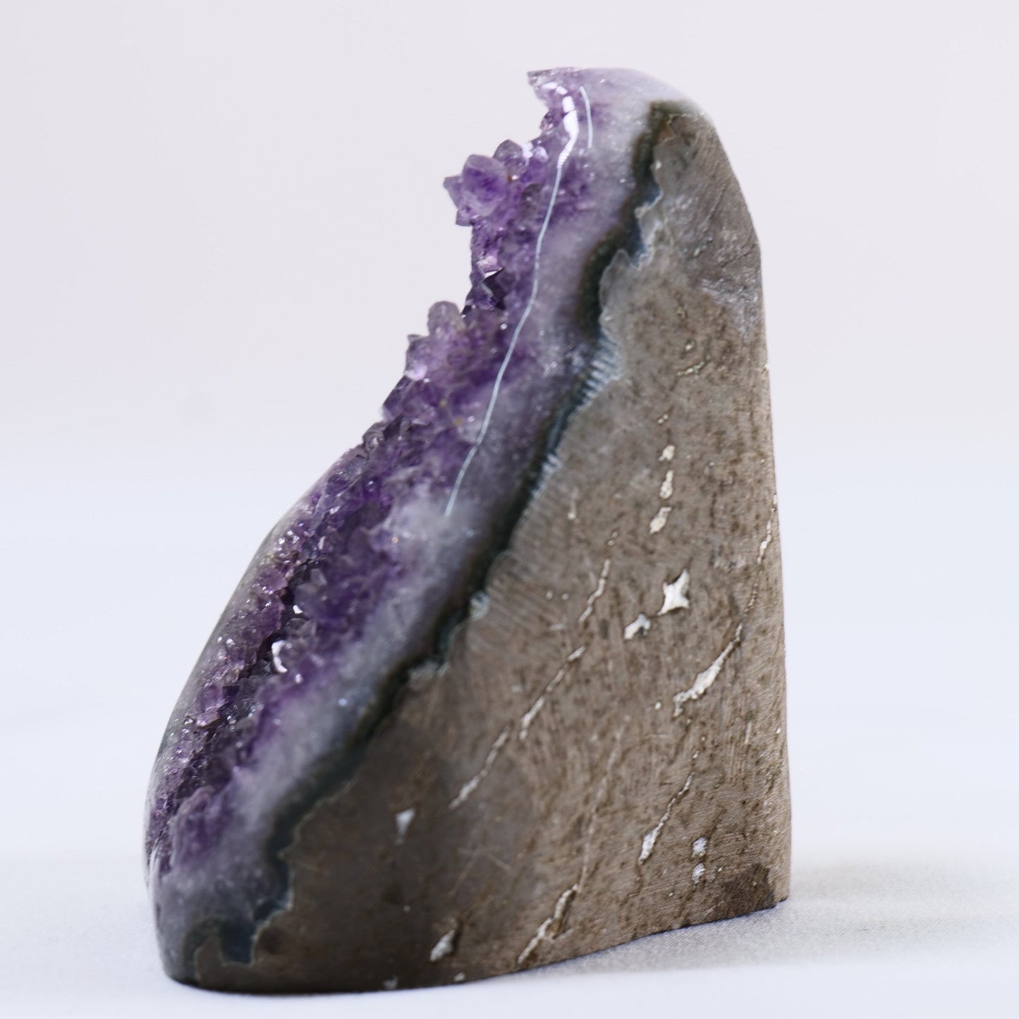 Uruguayan Polished Amethyst Geode - Luna Panther