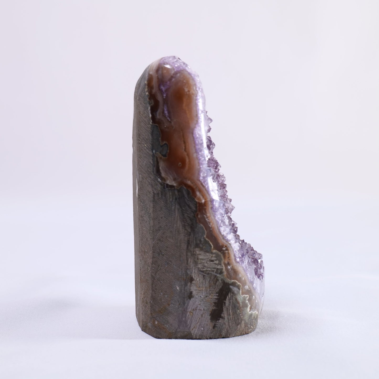 Uruguayan Polished Amethyst Geode - Luna Panther