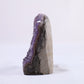 Uruguayan Polished Amethyst Geode - Luna Panther