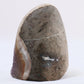 Uruguayan Polished Amethyst Geode - Luna Panther