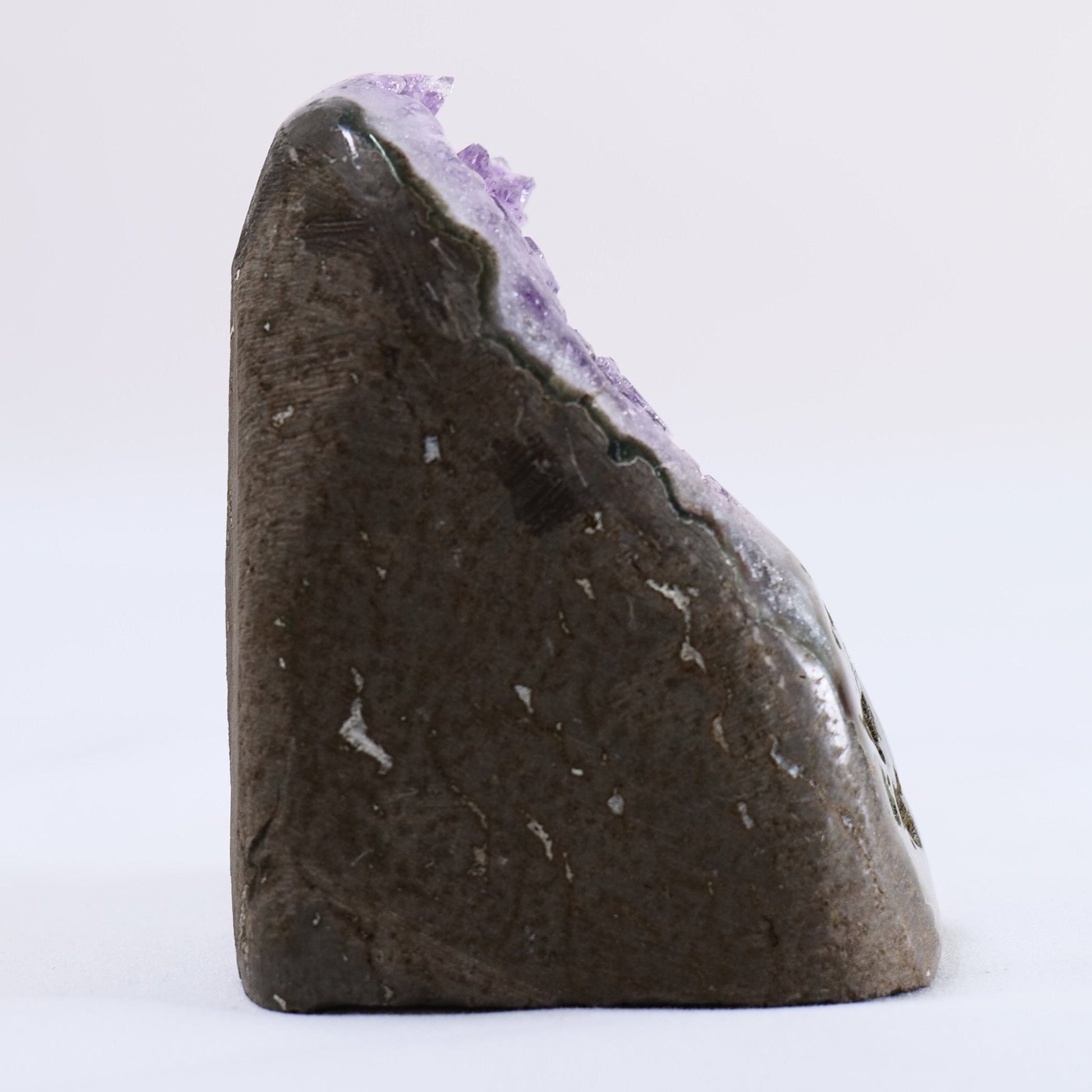 Uruguayan Polished Amethyst Geode - Luna Panther