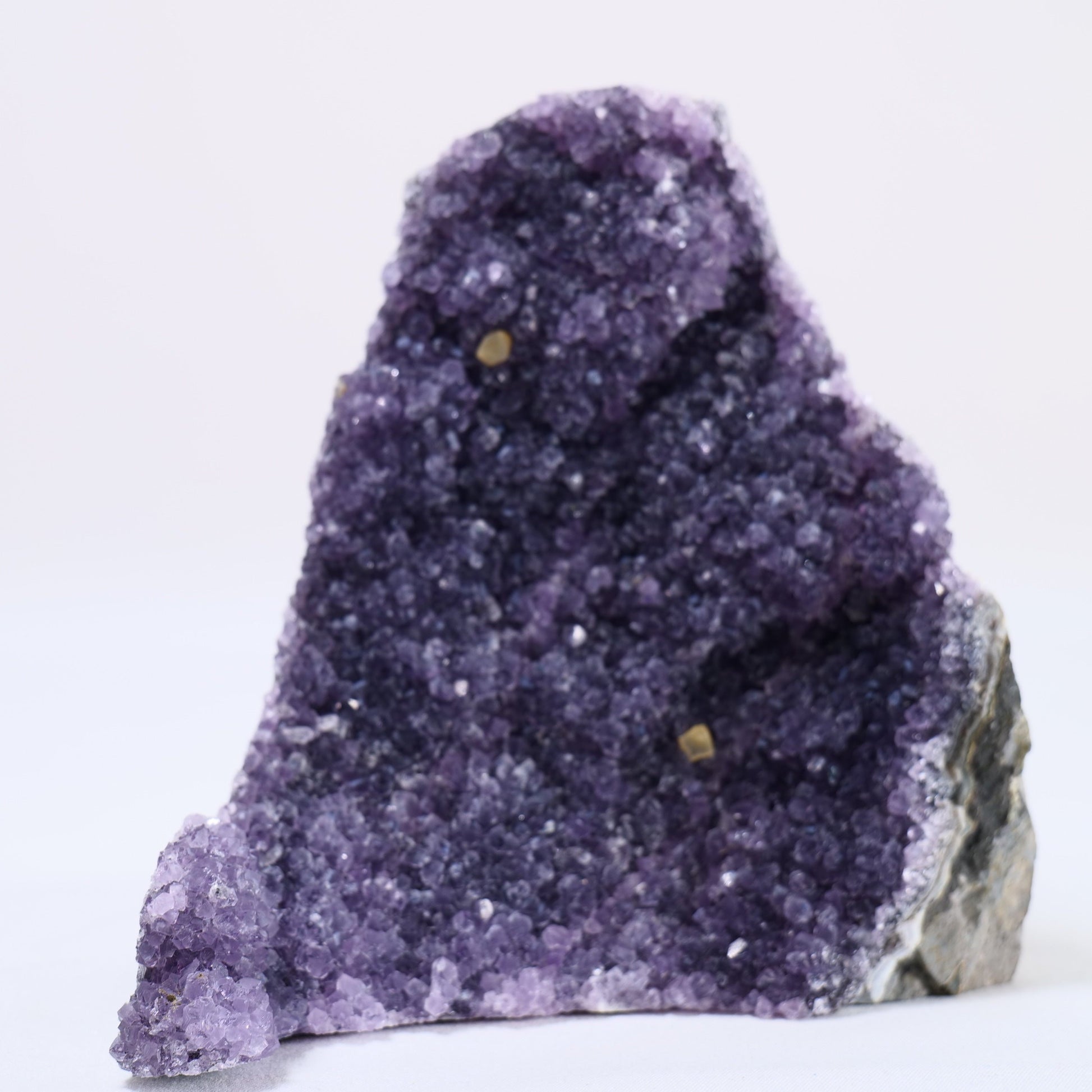 Uruguayan Polished Amethyst Geode - Luna Panther